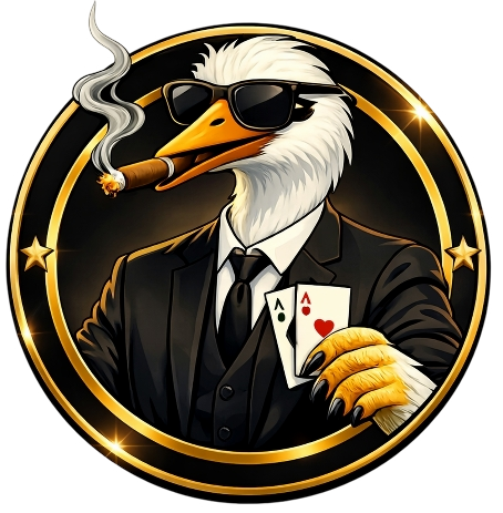 Kasinokurki - Parhaat kasinobonukset Suomessa